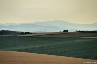 /album/%e5%a4%8f/a1-36-jpg/